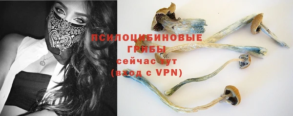 mdpv Арсеньев