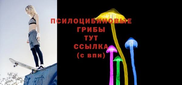прущий лед Аркадак