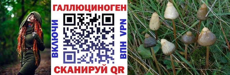 Галлюциногенные грибы мицелий  сайты даркнета формула  Баймак 